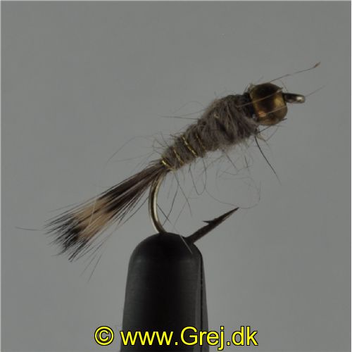 NY0254 - G/H Hares Ear - Str.18<br>