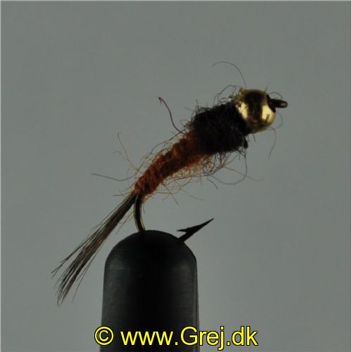 NY0333 - GH Bivisble - Str.14<br>