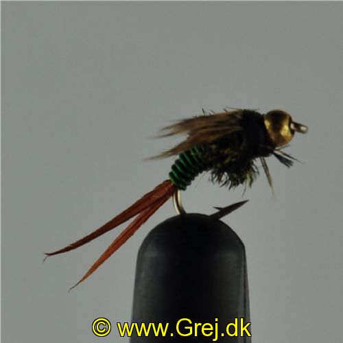 NY0351 - Copper John - Str.18<br>