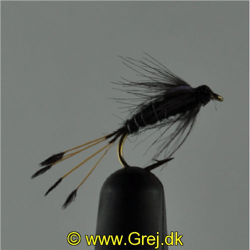 NY0372 - CZ BH Ny GJ Favorite - Str.12<br>