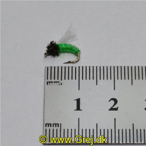NY0383 - Z-Wing Pupa Lime - Str.14<br>
