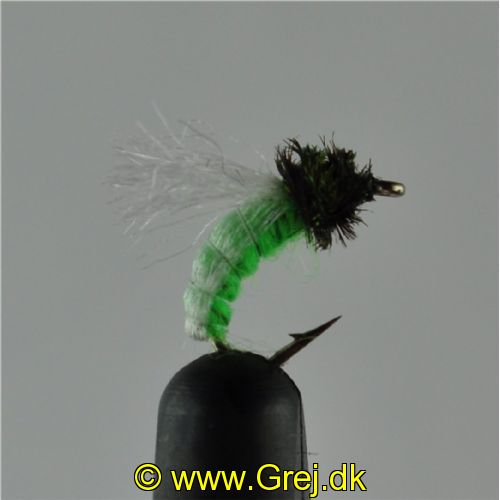 NY0383 - Z-Wing Pupa Lime - Str.14<br>