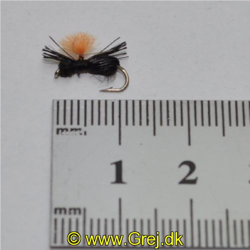 NY0391 - Black Beetle - Str.14<br>