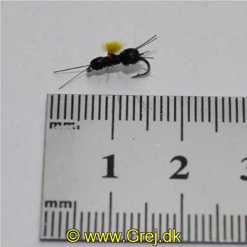 NY0392 - Black Beetle - Str.16<br>