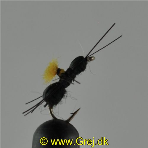 NY0392 - Black Beetle - Str.16<br>