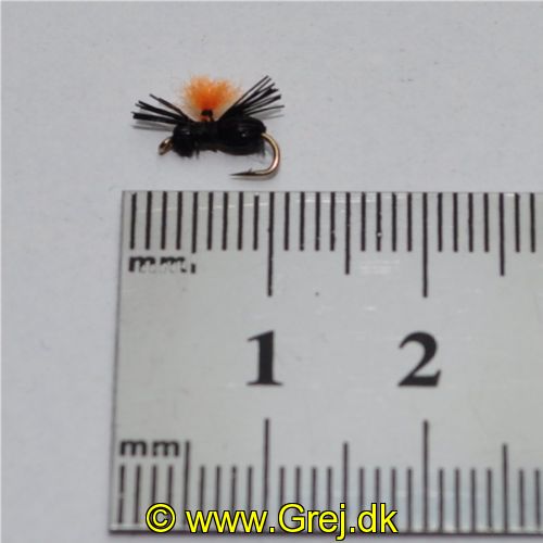 NY0393 - Black Beetle - Str.18<br>