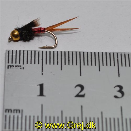 NY0421 - Copper John - Str.12<br>