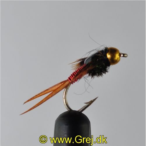 NY0421 - Copper John - Str.12<br>