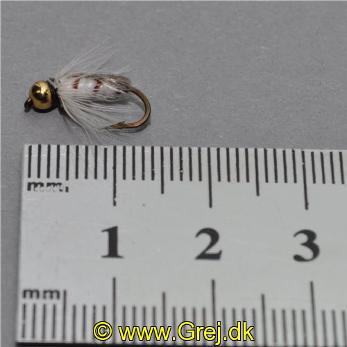NY0423 - GH Corixa ny - Str.12<br>