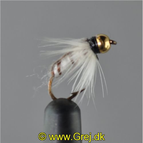 NY0423 - GH Corixa ny - Str.12<br>