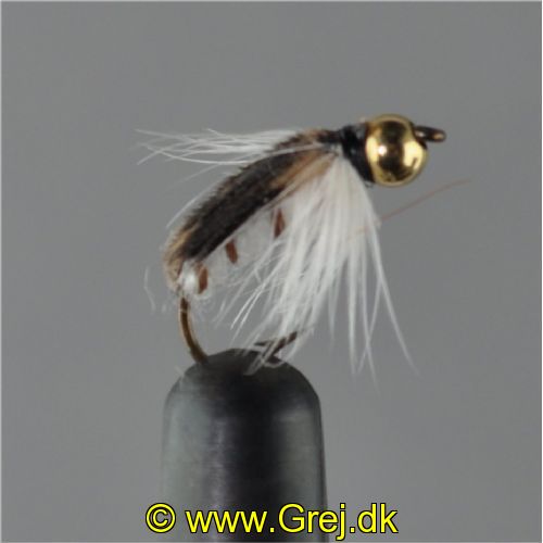 NY0424 - GH Corixa ny - Str.14<br>