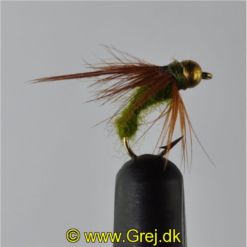 NY0444 - GH Sedge Puppa - Str.14<br>