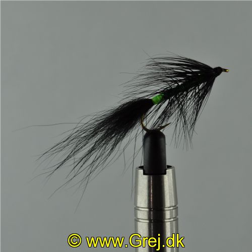 NY1323 - Kola killer - Str.8<br>