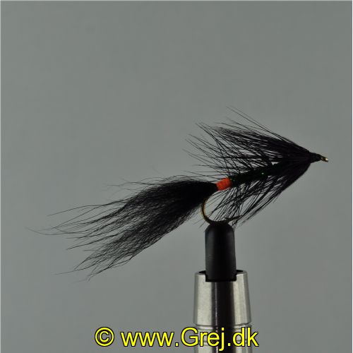 NY1361 - Kola killer - Str.8<br>