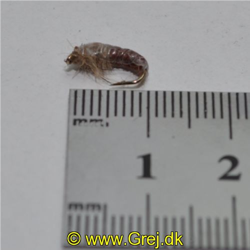 RIC0864 - Czeck Ny Hares Ear Rusty - Str.14<br>