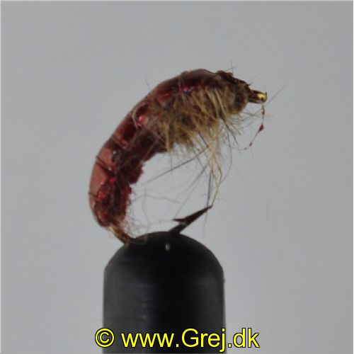 RIC0864 - Czeck Ny Hares Ear Rusty - Str.14<br>