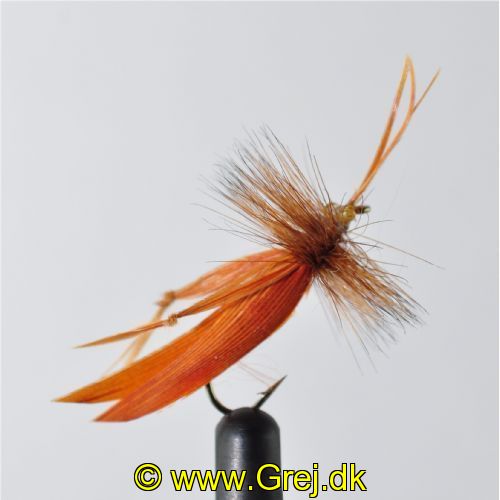 STR0153 - Graeshopper - Str.10<br>