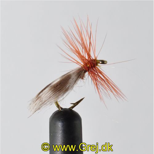 STR0154 - Europa 12 - Str.14<br>