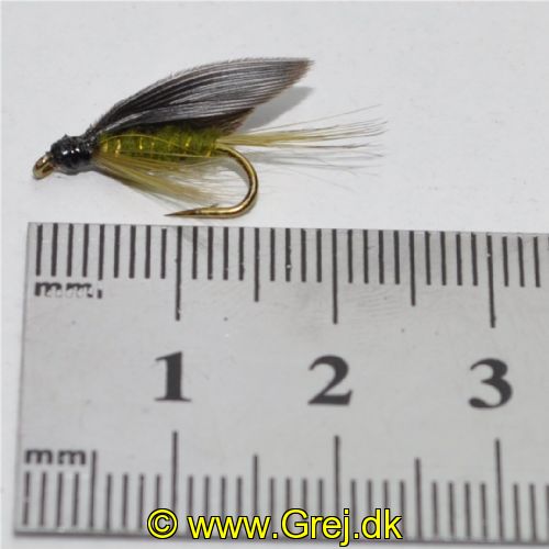STR0163 - Olive Dun - Str.10<br>