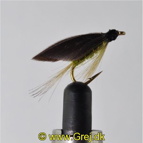 STR0163 - Olive Dun - Str.10<br>