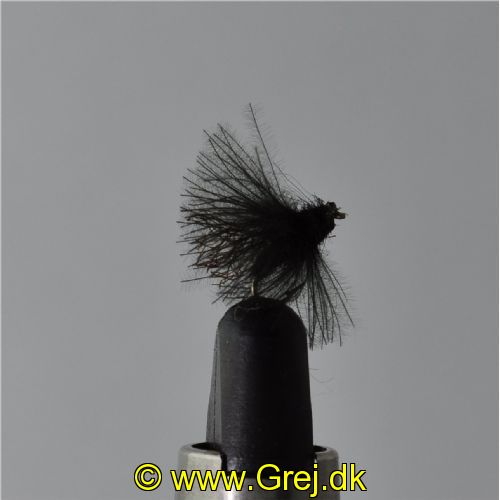 UF0322 - Adult caddis - Str: 20