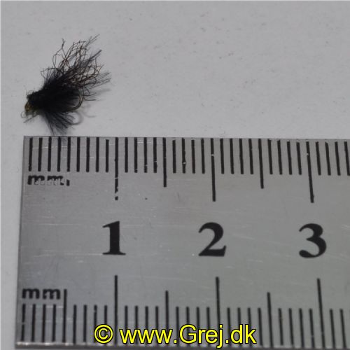 UF0323 - Adult caddis - Str: 22
