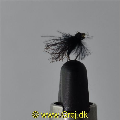 UF0323 - Adult caddis - Str: 22