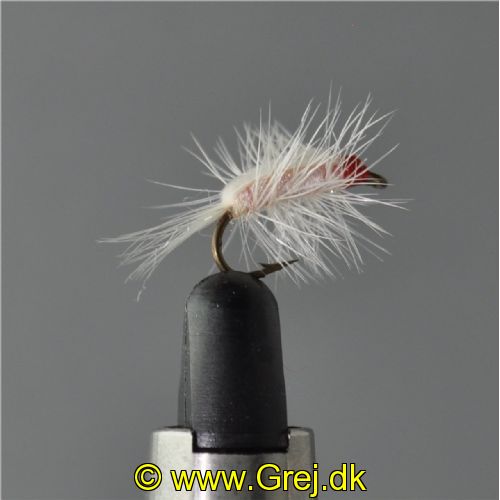 UF0328 - Shrimp light - Str: 14
