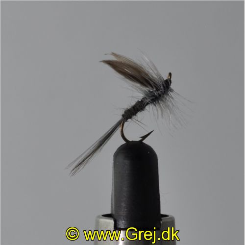 UF0333 - Beatas Rhodan - Str: 12