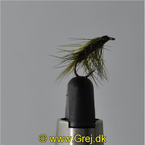 UF0342 - Shrimp olive - Str: 12