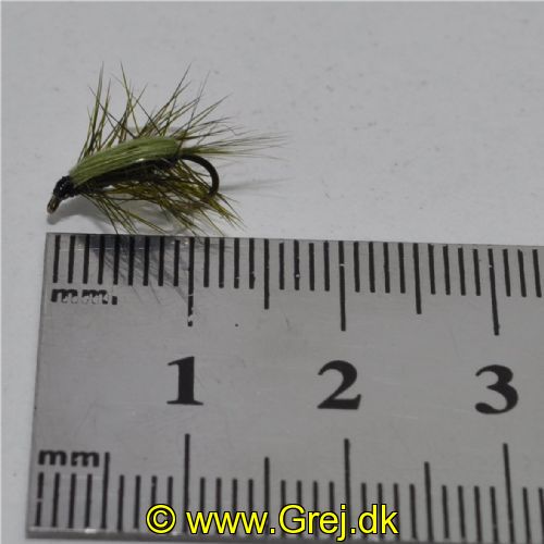 UF0343 - Shrimp olive - Str: 14