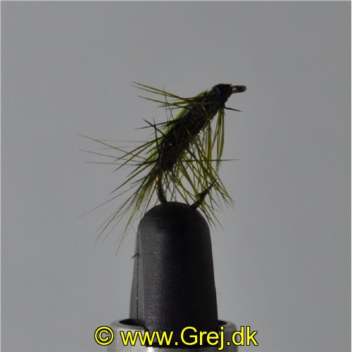 UF0343 - Shrimp olive - Str: 14