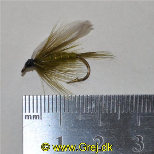 WUF0087 - Put And Take flue - Olive Dun - Str. 8